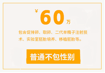 ​​普通试管代怀服务协议​​